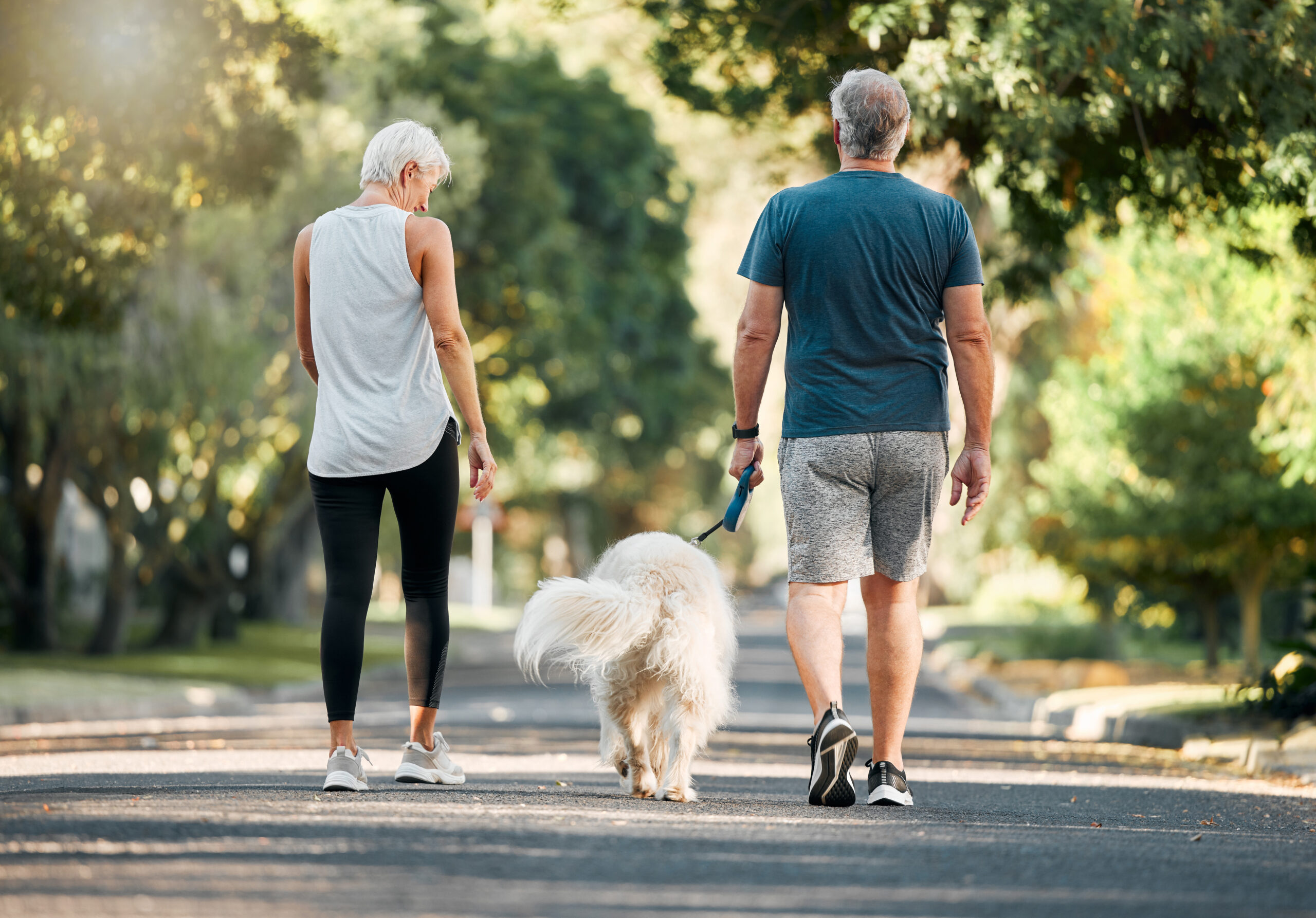 senior-couple-dog-walk-and-nature-park-road-durin-2023-11-27-05-01-07-utc
