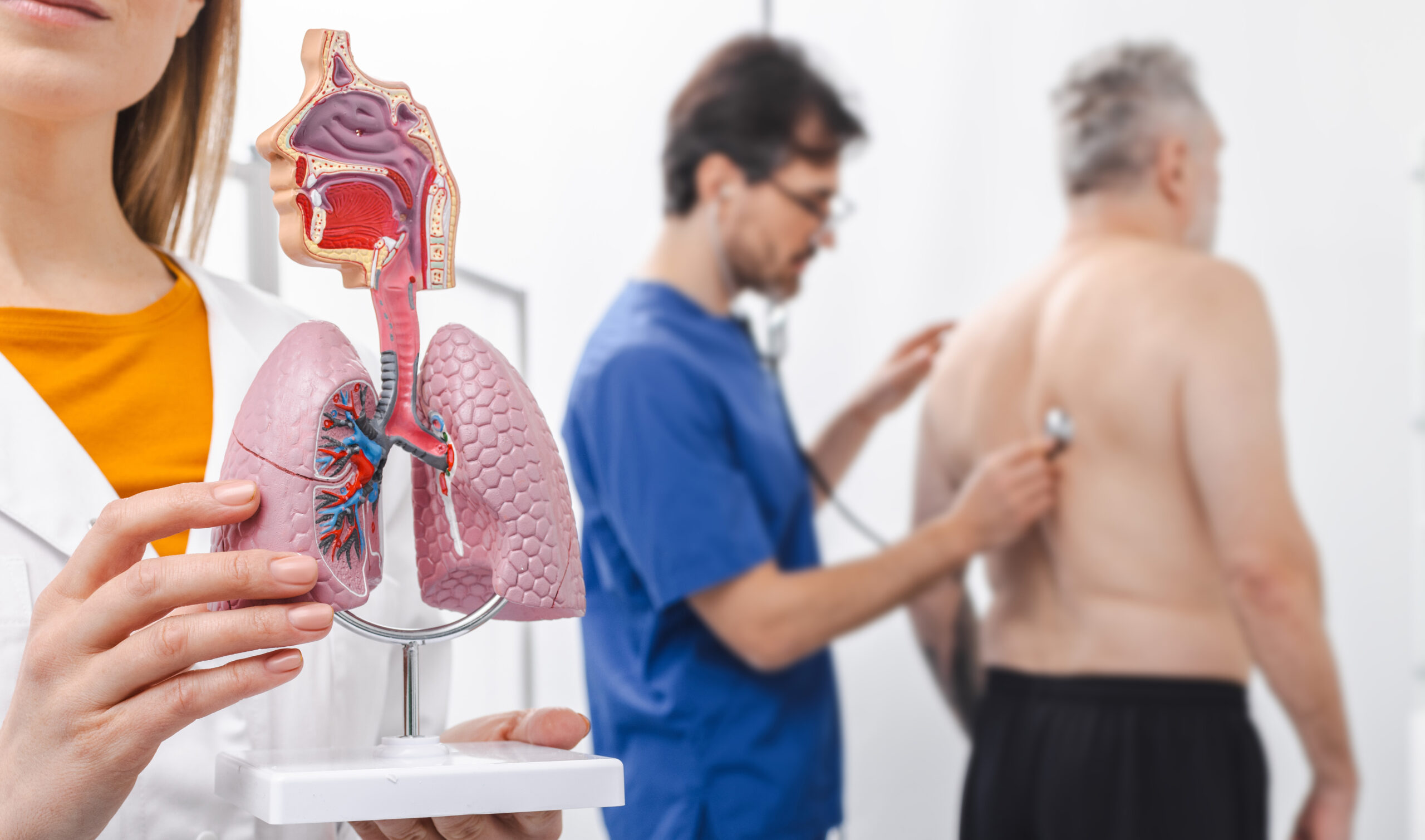 Back to the Basics – Airway Anatomy, Part 2